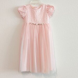 TARGET Pink Tulle Dress NWOT